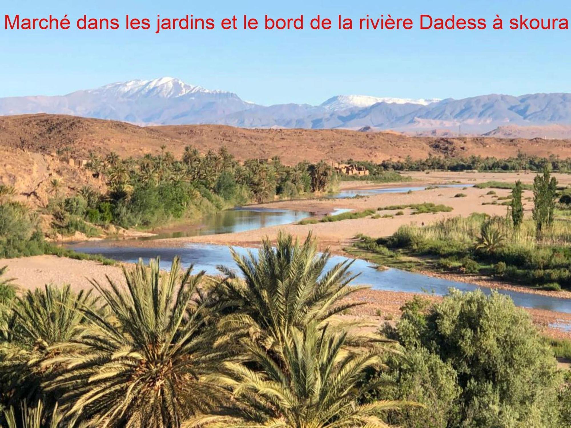 مبيت وإفطار سكورة Kasbah Elmehdaoui المظهر الخارجي الصورة